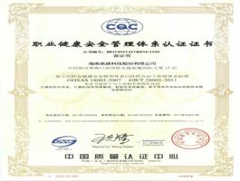 ISO18001職業(yè)健康安全管理體系.jpg